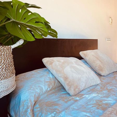Lovely Triana Flat With Roof Terrace 塞维利亚 外观 照片