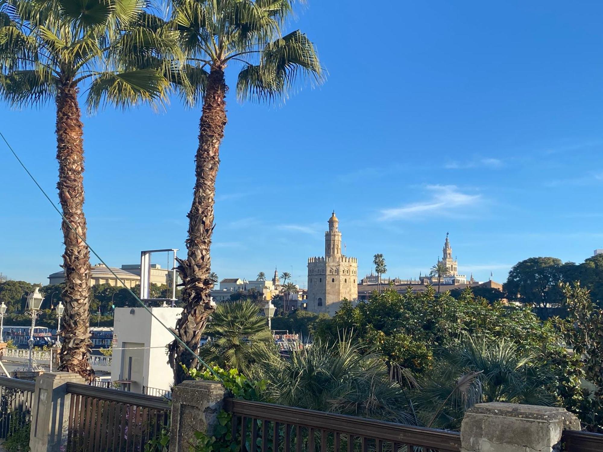 Lovely Triana Flat With Roof Terrace 塞维利亚 外观 照片